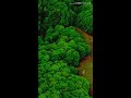 Makara Jyothy WhatsApp Status