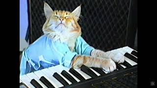 Cover art for All my fellas