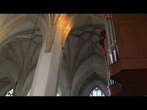 Sigfrid Karg-Elert (1877–1933) Cathedral Windows op. 106/2 Ave Maria