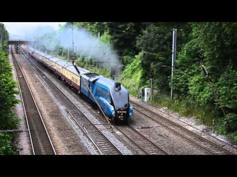 The Ebor Streak, behind 4464 Bittern, on the ECML thru' Welwyn G.C. on Saturday 29.06.13