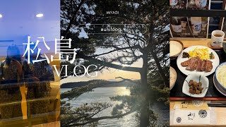 vlog)美しい景色と美味しいご飯と最高な温泉で癒された松島旅行/宮城/日本三景