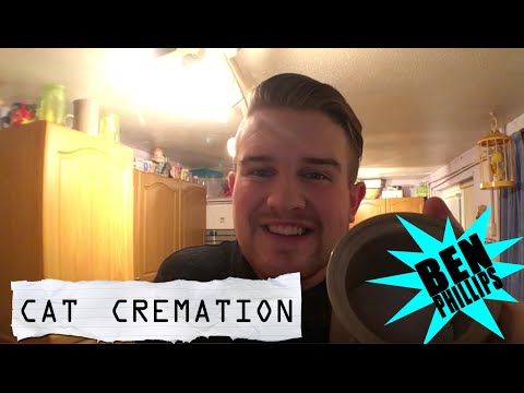 Ben Phillips | Katzeneinäscherung – wir trinken die Katze – STREICH!!