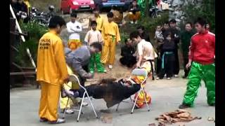 preview picture of video 'Tong ket y vo bao lam duong 2011-01.flv'
