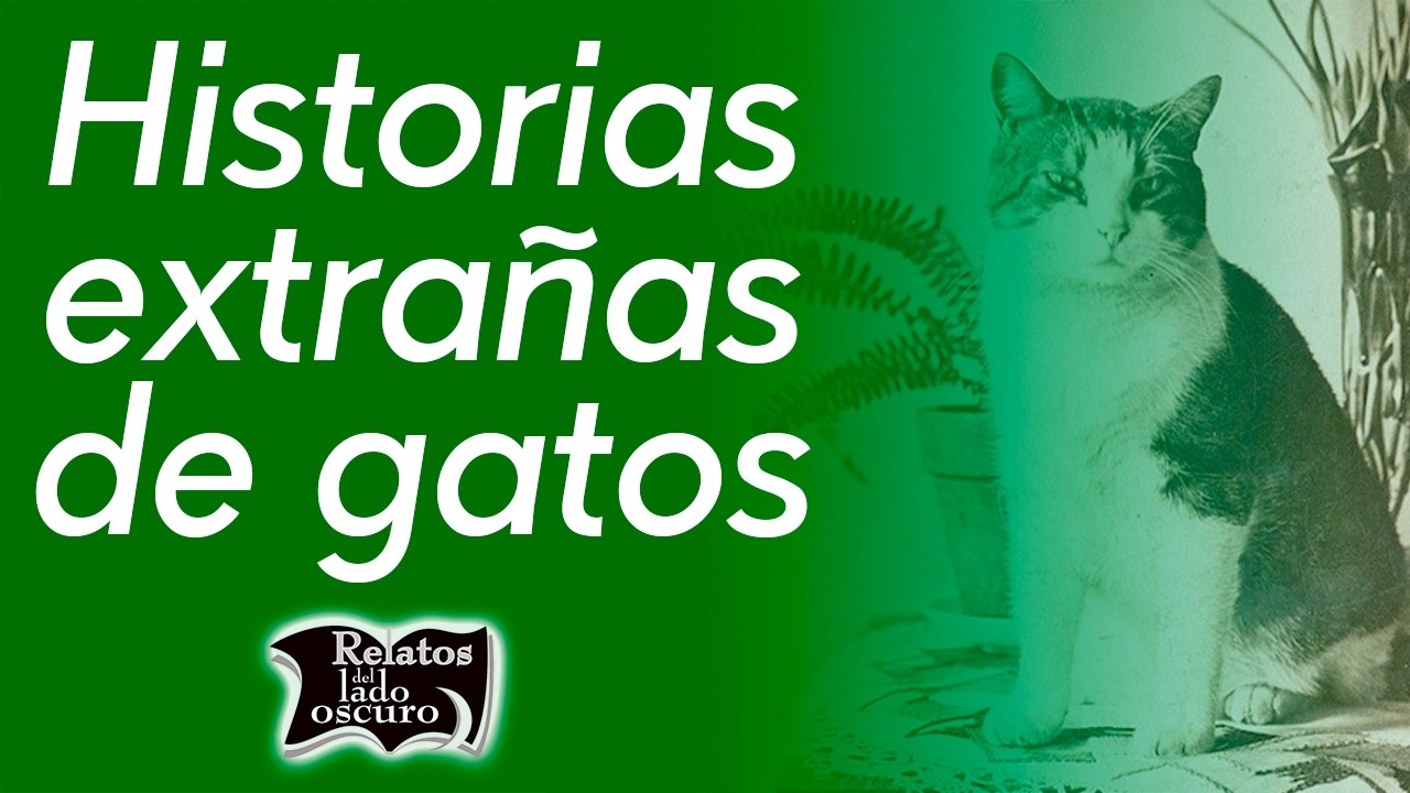 Historias extrañas de gatos | Relatos del lado oscuro