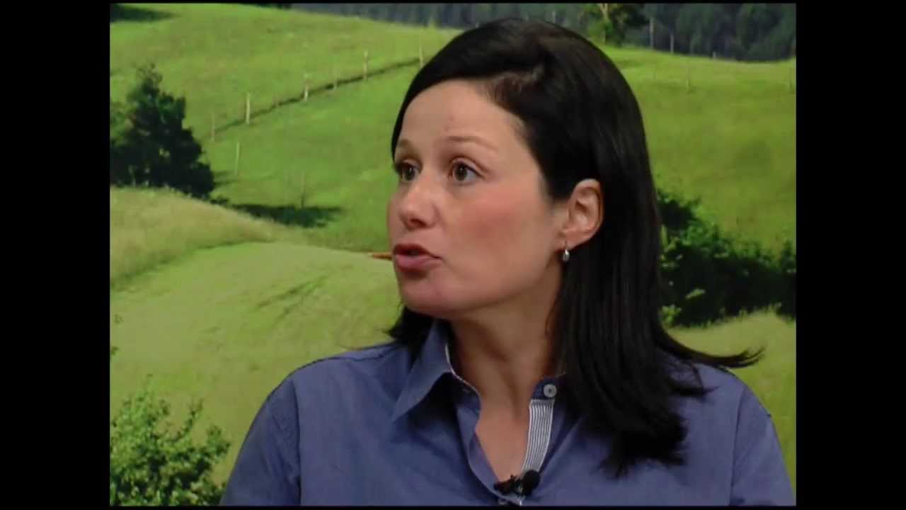 Tratamento de Inflamações em Equinos - 209/01/2014