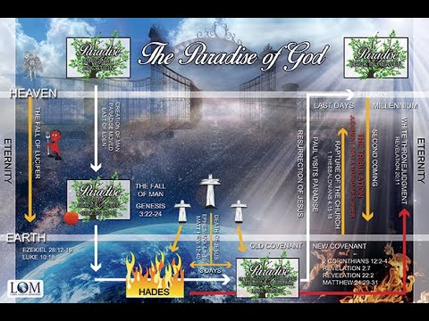 Best Days/End-time Seminar - Dr. Larry Ollison (Session 8)