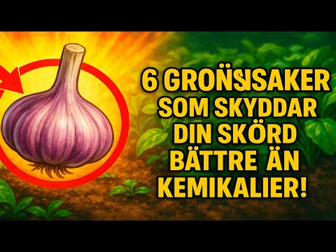 6 grönsaker som skyddar din skörd bättre än kemikalier! 🧄
