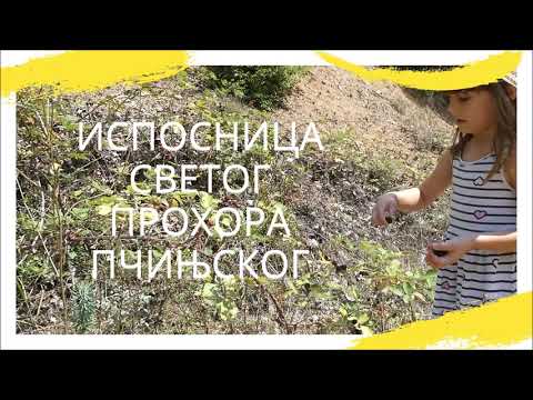 Испосница Преподобног Прохора Пчињског