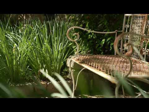 1B Barberry Court, Bright, VIC 3741, 6 rūma, 3 rūma horoi, House