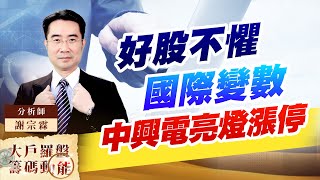 好股不懼國際變數 中興電亮燈漲停 (圖)