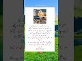 Labian Man Amir's Hajj Story 2025 | Saudi Sheikh Yasir Al Dausari about Amir