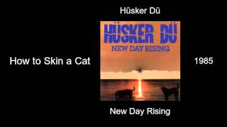 Hüsker Dü - How to Skin a Cat - New Day Rising [1985]