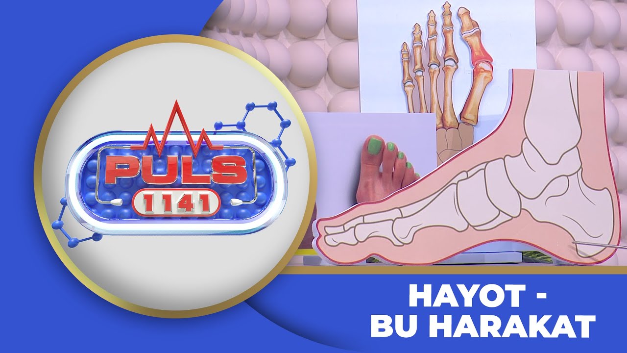 PULS 1141 - HAYOT - BU HARAKAT