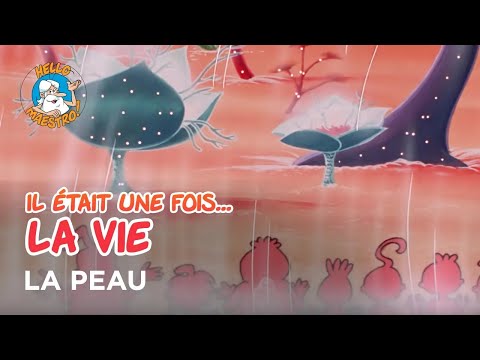 Il était une fois… la Vie 🌱- La peau 🖖🏽