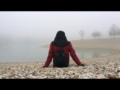 Fog | Pablo Nouvelle - Invading my Mind