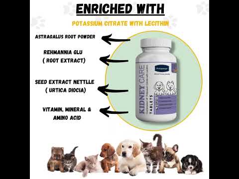 Kidney Care Tablet For Pets-aniamor-lecithin Tablets- 60 Tablets