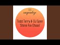 Stone Fox Chase (Todd Terry Remix) 