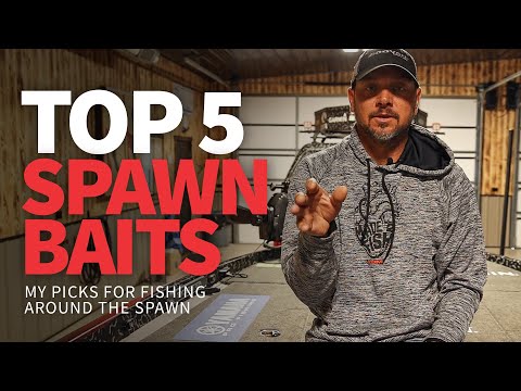 TOP 5 Baits for fishing around the SPAWN