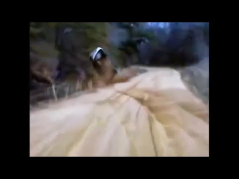 Police Chase In Twiggs County, Georgia, March 13, 2010