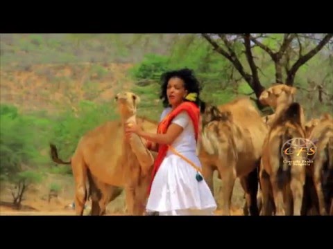 *Dhaanto Cusub | Degmadda Laas Dhar | Axmed Budul | Footage Remix