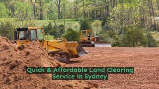 Tree Services Manly