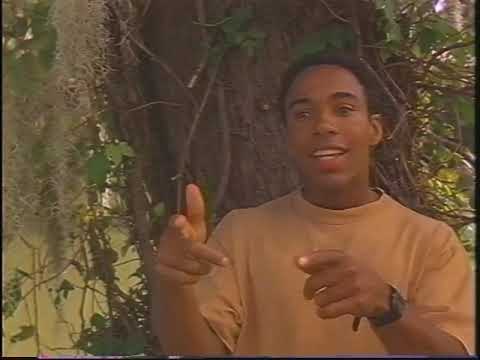 Jayo Felony feat Kokane - Brothas & Sistas | 1995