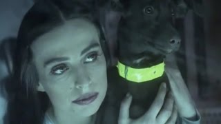 Interactive - We Are One 1996