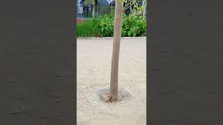 Download lagu Hero no 1 #hindisong mp3