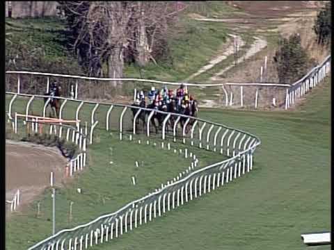 Galoppo 12/03/2019 - 1ª corsa