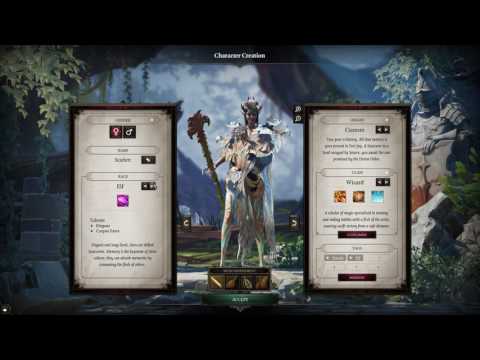 FIRST LOOK: Divinity: Original Sin 2 Early Access