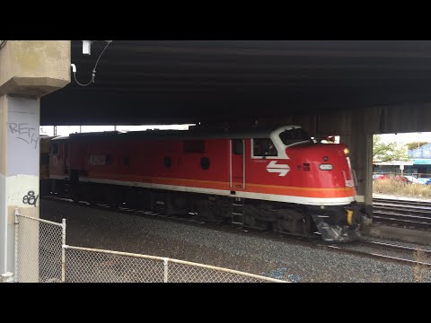 NSW Vintage SRA Candy Livery leads the AK Cars in Victoria! SSR AK Cars at Newport | 42103 GM22