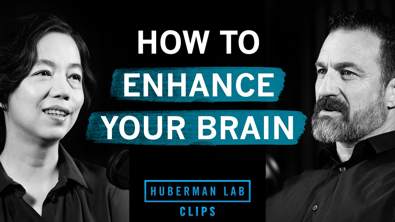 How to Enhance Your Brain with AI | Dr. Fei-Fei Li & Dr. Andrew Huberman