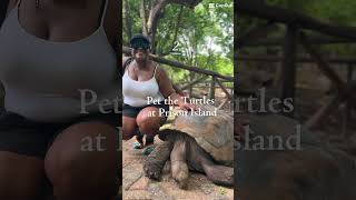 Things to do in Stonetown, Zanzibar Tanzania #Shorts #Zanzibar