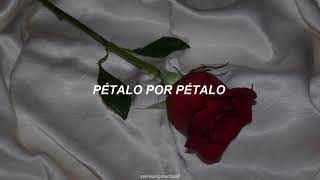 ladies' code ✧ my flower (sub español.)