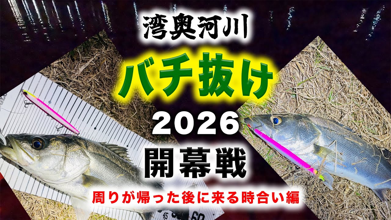湾奥河川バチ抜けシーバス開幕2026 - 周りが帰った後に来る時合い編 - 東京湾奥1月バチパターン