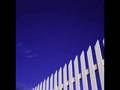 Sundays Best - White, Picket Fences