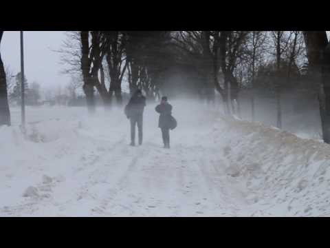 Schneesturm Daisy in Prohn 4/4