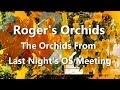 The Orchids From Last Night S OS Meeting