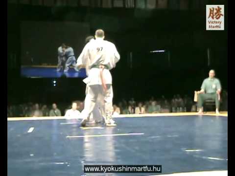 Shinkyokushin World Cup 09 - Bak Sándor - Ryutaro Hirayama