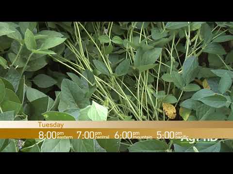 RFD-TV's "Ag PhD" Tuesday at 8:00 PM Eastern