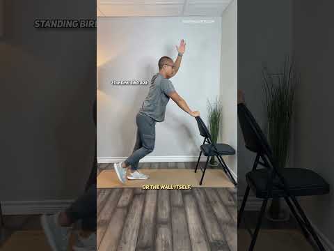 Lower Back Beginner Exercises