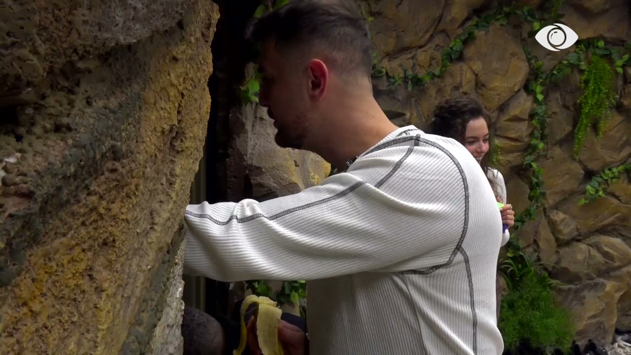 A duam finalen ne?/ Rogerti-Mirit: Imagjino të bashkohem unë me Selin dhe e fiton ti