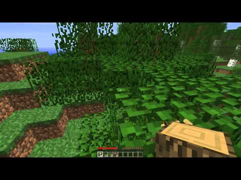Let's play CZ minecraft ep.1 Začínáme