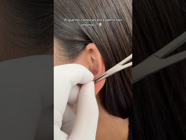 Vídeo relacionado con Anillos de nariz con bisagras de titanio G23 de 20 g, 18 g, 16 g, 14 g, 12 g, 10 g, sin costuras, para nariz, tabique, cartílago, hélice, tragus, caracola, rook, daith, diámetro del lóbulo de 6 mm a