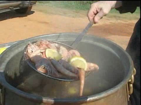 download lagu mp3 mp4 Alabama Shrimp Bake, download lagu Alabama Shrimp Bake gratis, unduh video klip Alabama Shrimp Bake