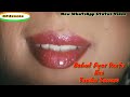 Bahut Pyar Karte Hai Tumko Sanam WhatsApp Status Video