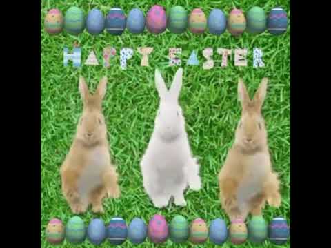 Happy Easter Bunny Meme