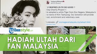 Hadiah Unik Ulang Tahun V BTS dari Penggemar Malaysia, Adopsi Harimau Bengal Putih yang Hampir Punah