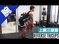 【上腕三頭筋(長頭)の鍛え方】リバーストライセプスで腕を太くする!