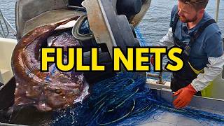 200 Monkfish Nets on the Ocean AGAIN (Big Fish) #17